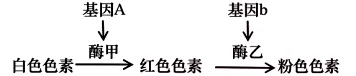 试卷精选║安徽省马鞍山市2026年高三第二次教学质量监测生物学 第3张