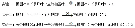 试卷精选║安徽省马鞍山市2026年高三第二次教学质量监测生物学 第7张