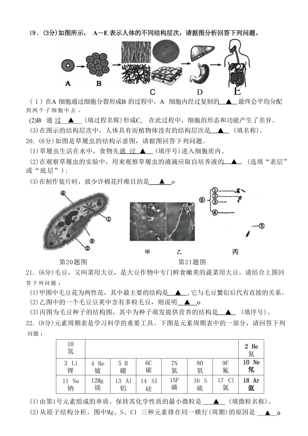 2026.4杭州十三中七下期中考试科学试卷 第4张