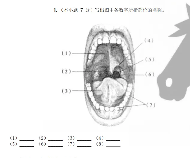 山东春考医学技术专业历年真题识图题汇总(2015年——2025年) 第7张