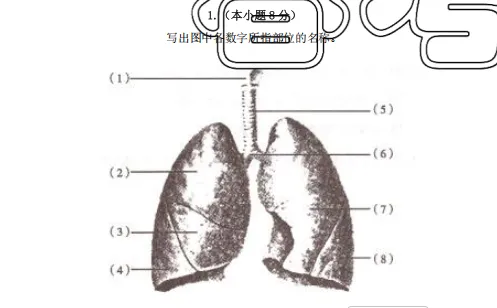 山东春考医学技术专业历年真题识图题汇总(2015年——2025年) 第9张