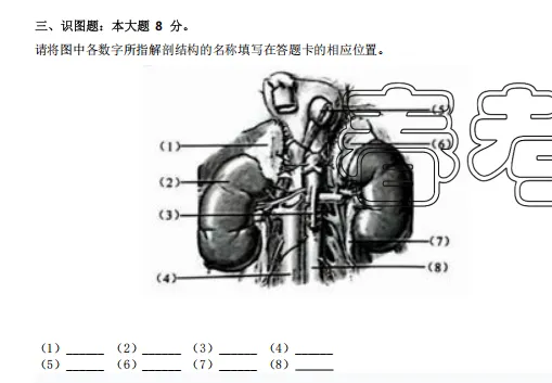 山东春考医学技术专业历年真题识图题汇总(2015年——2025年) 第13张