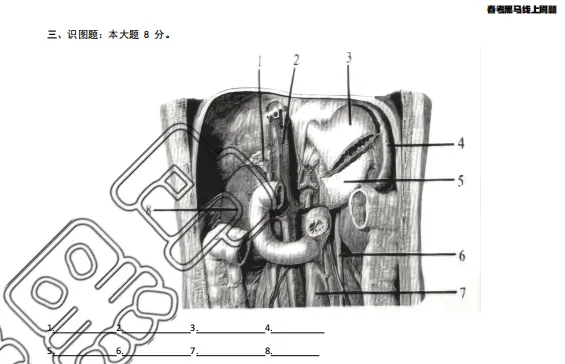 山东春考医学技术专业历年真题识图题汇总(2015年——2025年) 第15张