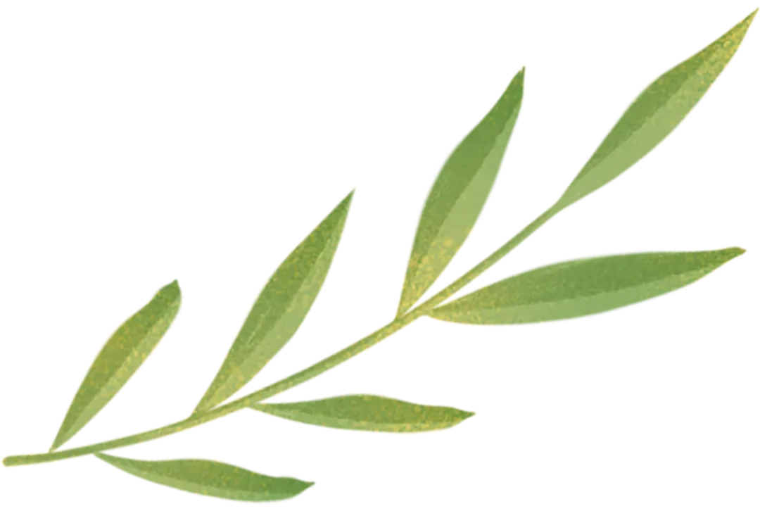 聚焦试卷讲评 赋能备考提质 ——第一学区农村化学科工作坊交流活动在清水中学圆满举行 第11张