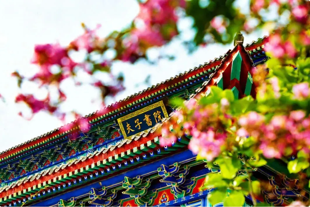 曲阜夫子学校|中考志愿填报官方温馨提示:理性择校 远离陷阱 守护未来 第2张