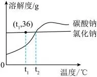 中考化学坐标曲线题全解析:类型、技巧与真题训练 第11张