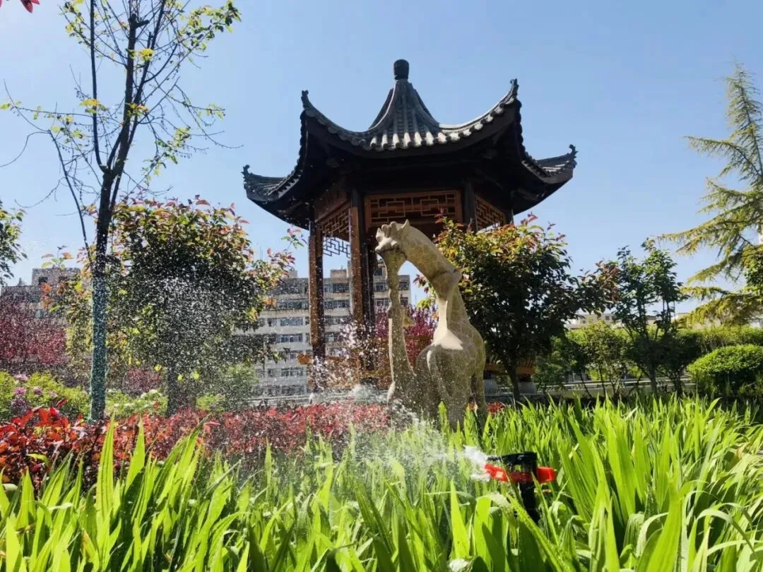 2026年兰州市外国语高级中学中考报名、资格确认、准考证领取及自主招生指南 第19张