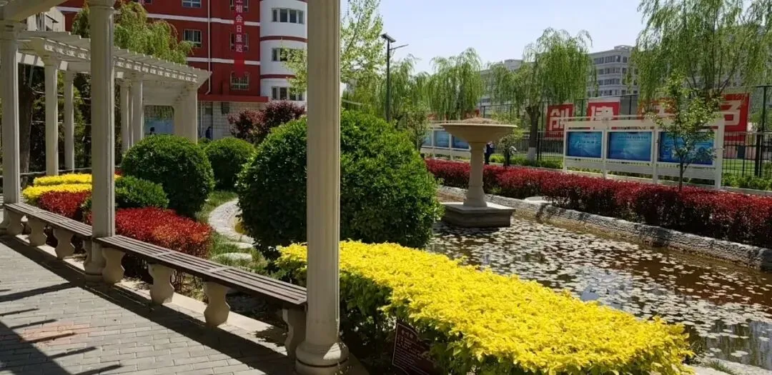 2026年兰州市外国语高级中学中考报名、资格确认、准考证领取及自主招生指南 第20张