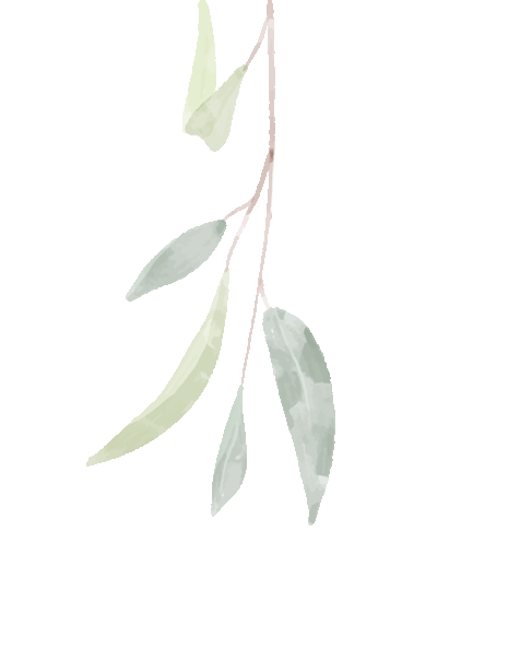 阳光路上|养正讲堂第一期:凝心聚力备中考 科学冲刺向未来 第11张