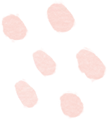 2026年温州市区中考政策加分事项|4月21日开始办理! 第8张