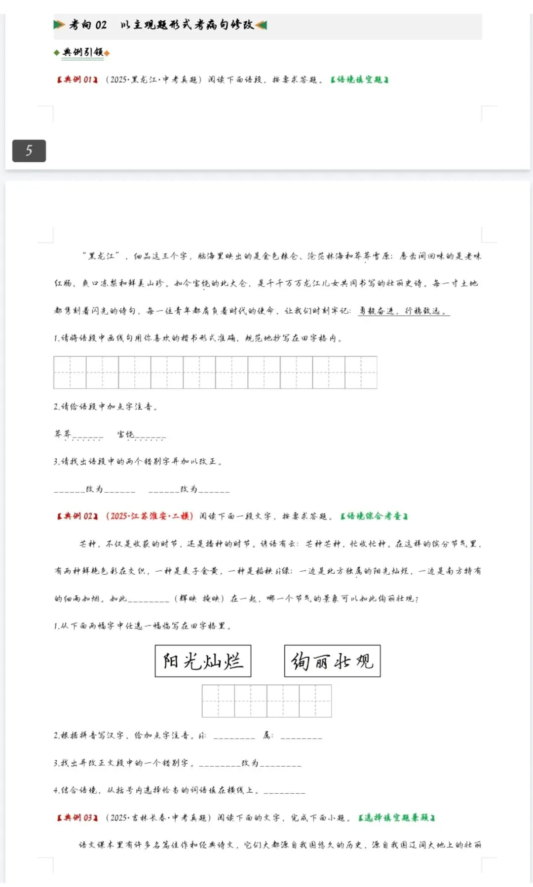 中考语文二轮复习必备,历年字音字形真题汇总!专题专项突破,刷题超省心 第4张