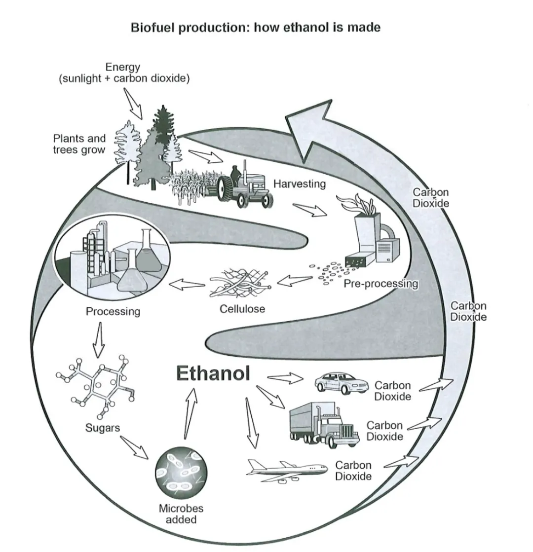 剑桥雅思真题19(Test 2 地图与Test 3流程图) 第3张