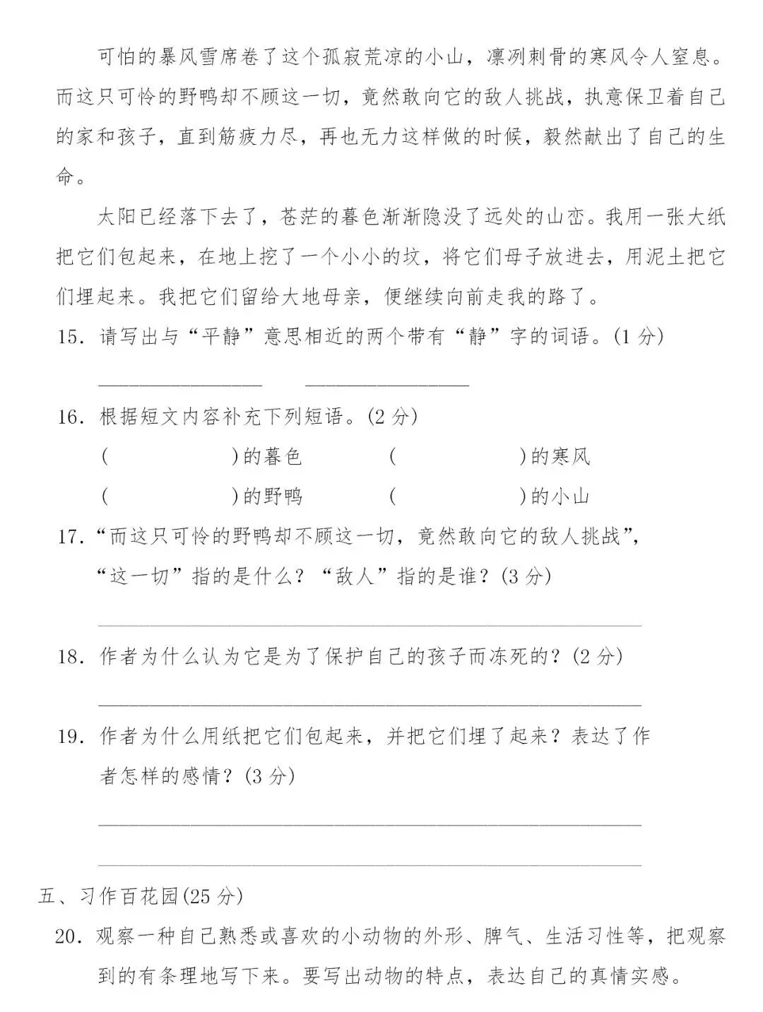 部编版四年级下册语文四单元试卷 第5张