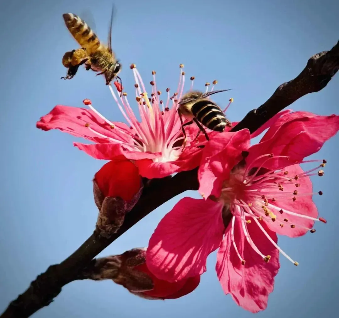 中考体育扣了5分后,她才明白:孩子的运动习惯,大了再补真的难 第1张