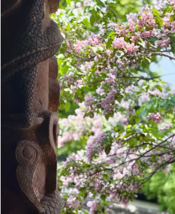 【26期中考】十三中、文华等校期中作文简析+提纲 第7张