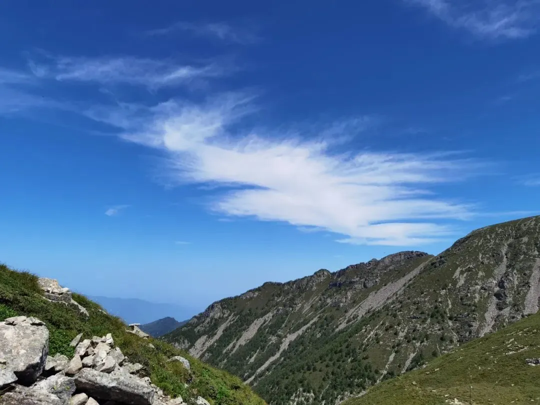 中考数学100道常考题,细分代数、几何、概率,赶紧练练! 第23张