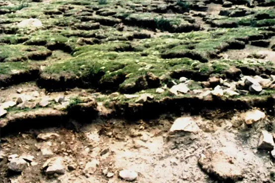 冲刺提分真题练——考点19 自然环境的整体性(原卷版) 第11张