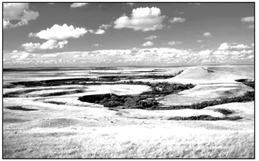 冲刺提分真题练——考点19 自然环境的整体性(原卷版) 第16张