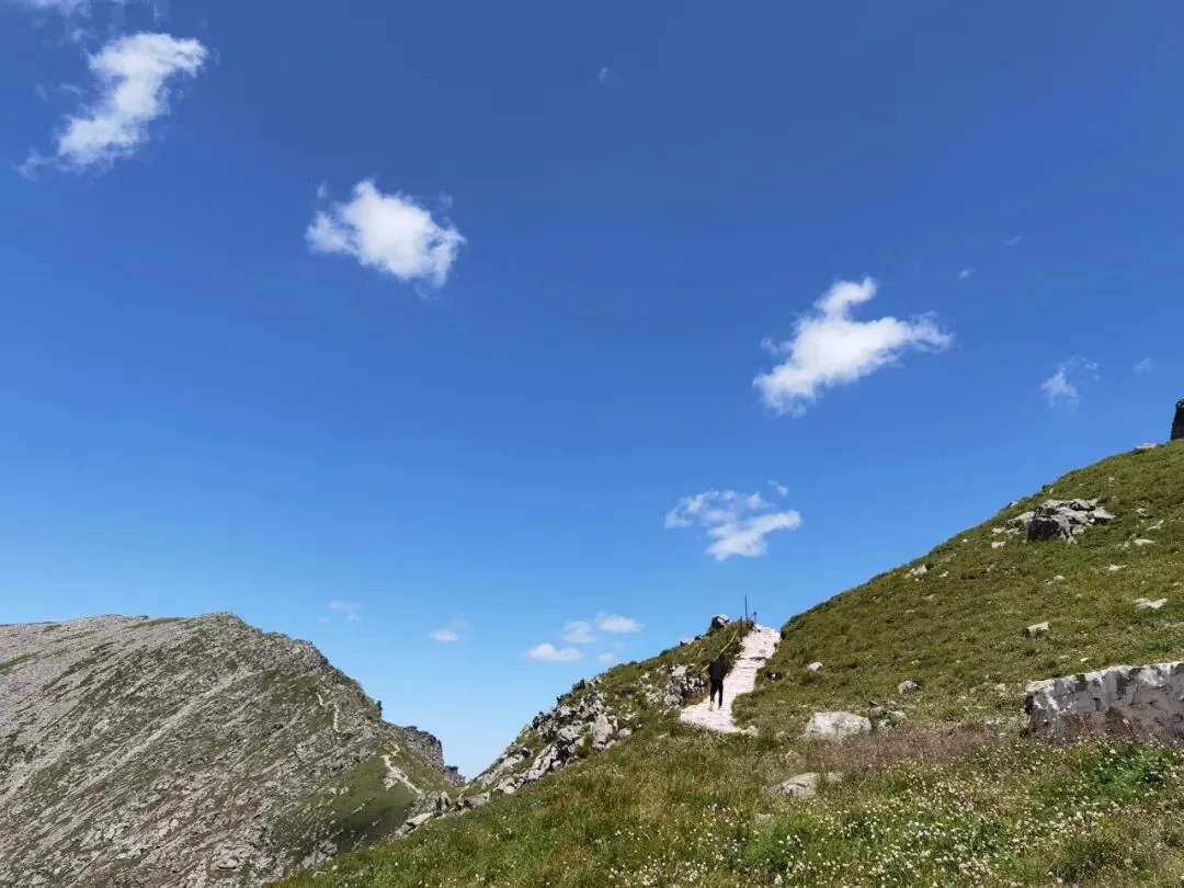 中考数学100道常考题,细分代数、几何、概率,赶紧练练! 第50张