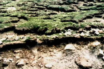 冲刺提分真题练——考点19 自然环境的整体性(解析版) 第11张