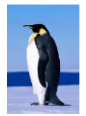 中考科学(浙江)二轮复习冲刺练(2)——运动和力基础专题 第1张