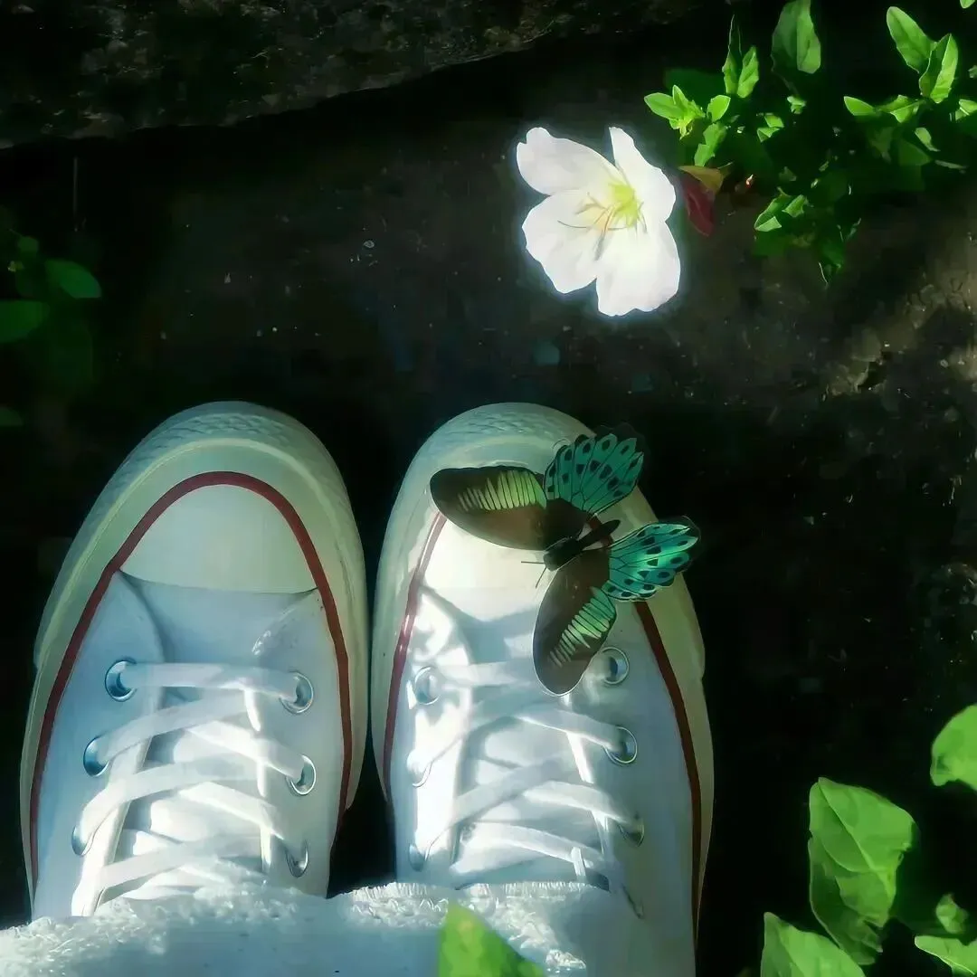 中考考场一类文标杆范文|又到上路时(李沐远) 第4张