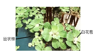 2026年中考生物精品押题卷5份 第7张