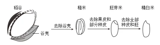 2026年中考生物精品押题卷5份 第6张