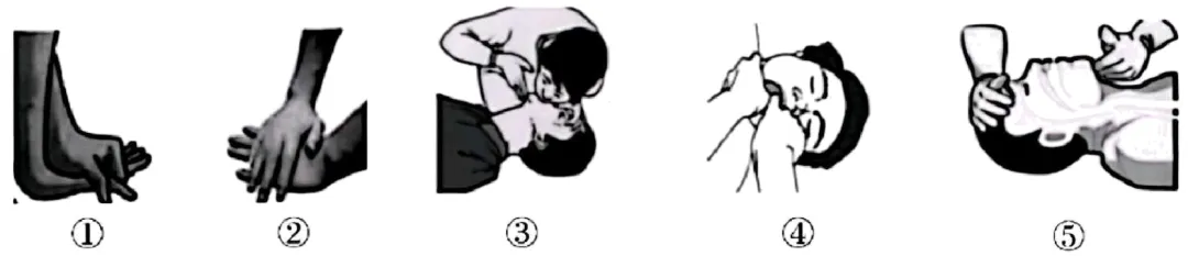 2026年中考生物精品押题卷5份 第8张