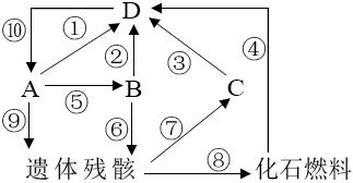 2026年中考生物精品押题卷5份 第15张