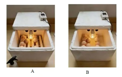 2026年中考生物精品押题卷5份 第16张