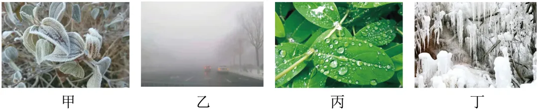 2025年八年级物理上册期中考试模拟卷 第6张