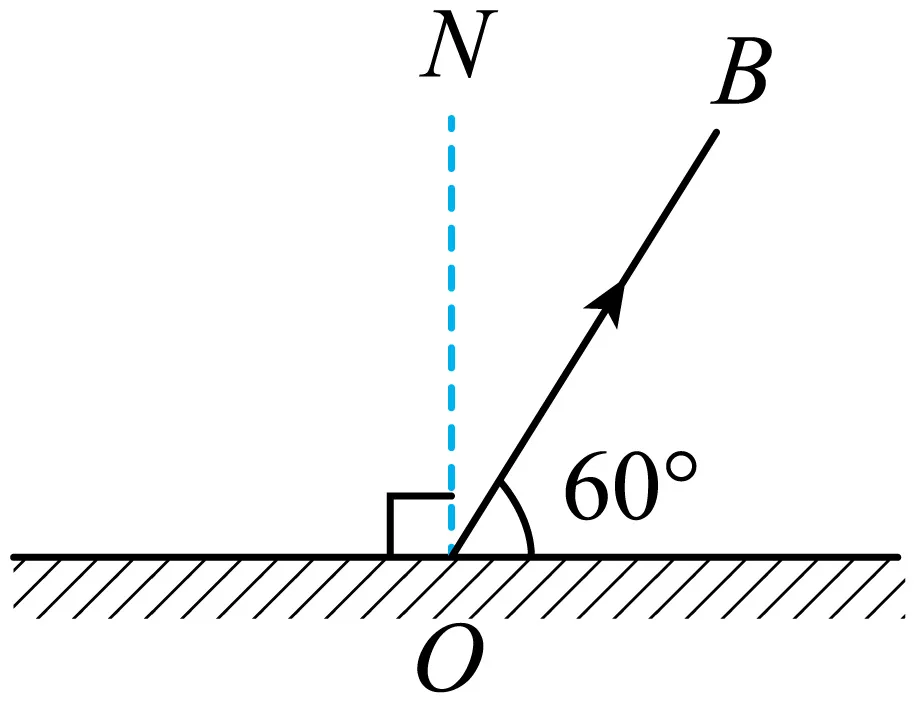 2025年八年级物理上册期中考试模拟卷 第12张