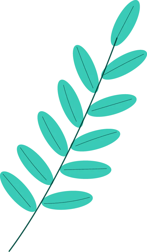 研思致远,赋能中考|慈溪市初中英语学业水平复习研讨会暨初中英语名师工作室专题研讨活动圆满举行 第31张