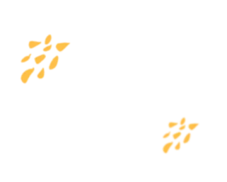 中考未上“优高线”,高考却考了590分,最后100天增分63分 | 汤佳琪:是育新,让我把“不可能”变成“我能”! 第3张