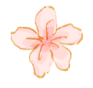 “词”之以恒|4月22日考研英语二考研真题高频单词 第2张