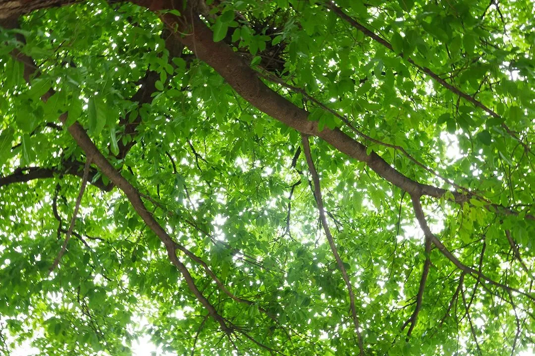 2026年中考工艺流程图专题 第2张