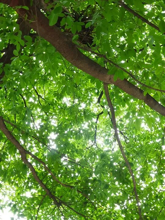 2026年中考工艺流程图专题 第4张