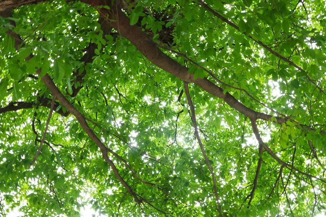 2026年中考工艺流程图专题 第6张