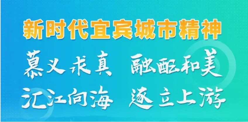 聚焦中考英语备考 共探高效复习新范式——学区中考英语复习研讨会在我校圆满举行 第10张