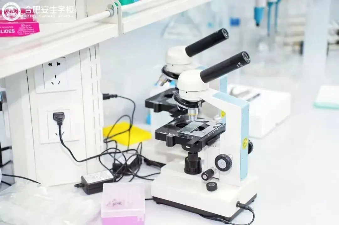 合肥安生|三大顶尖实验室解锁中考新可能 第3张