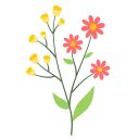 中考回头看,英语学习突破的三个方法 第6张