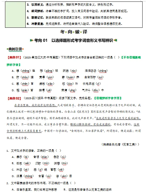 2026年中考语文二轮复习(基础、阅读、文言文)等题型专练,打印一份给孩子,考试轻松突破120分! 第3张