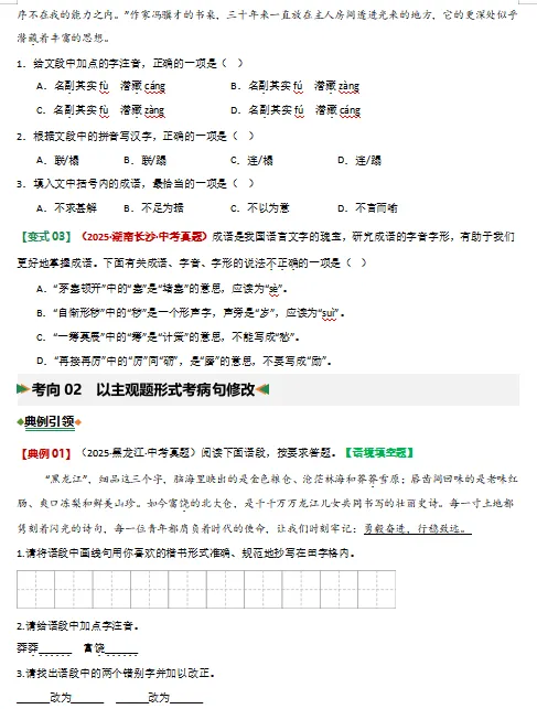 2026年中考语文二轮复习(基础、阅读、文言文)等题型专练,打印一份给孩子,考试轻松突破120分! 第5张