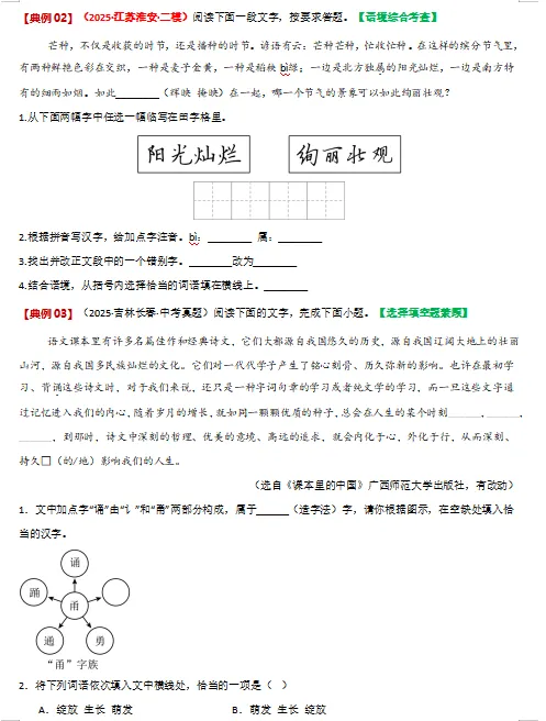 2026年中考语文二轮复习(基础、阅读、文言文)等题型专练,打印一份给孩子,考试轻松突破120分! 第6张