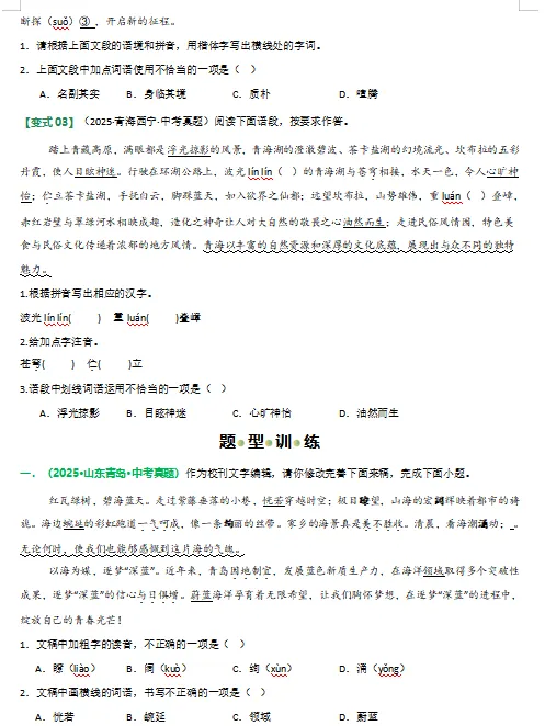 2026年中考语文二轮复习(基础、阅读、文言文)等题型专练,打印一份给孩子,考试轻松突破120分! 第8张