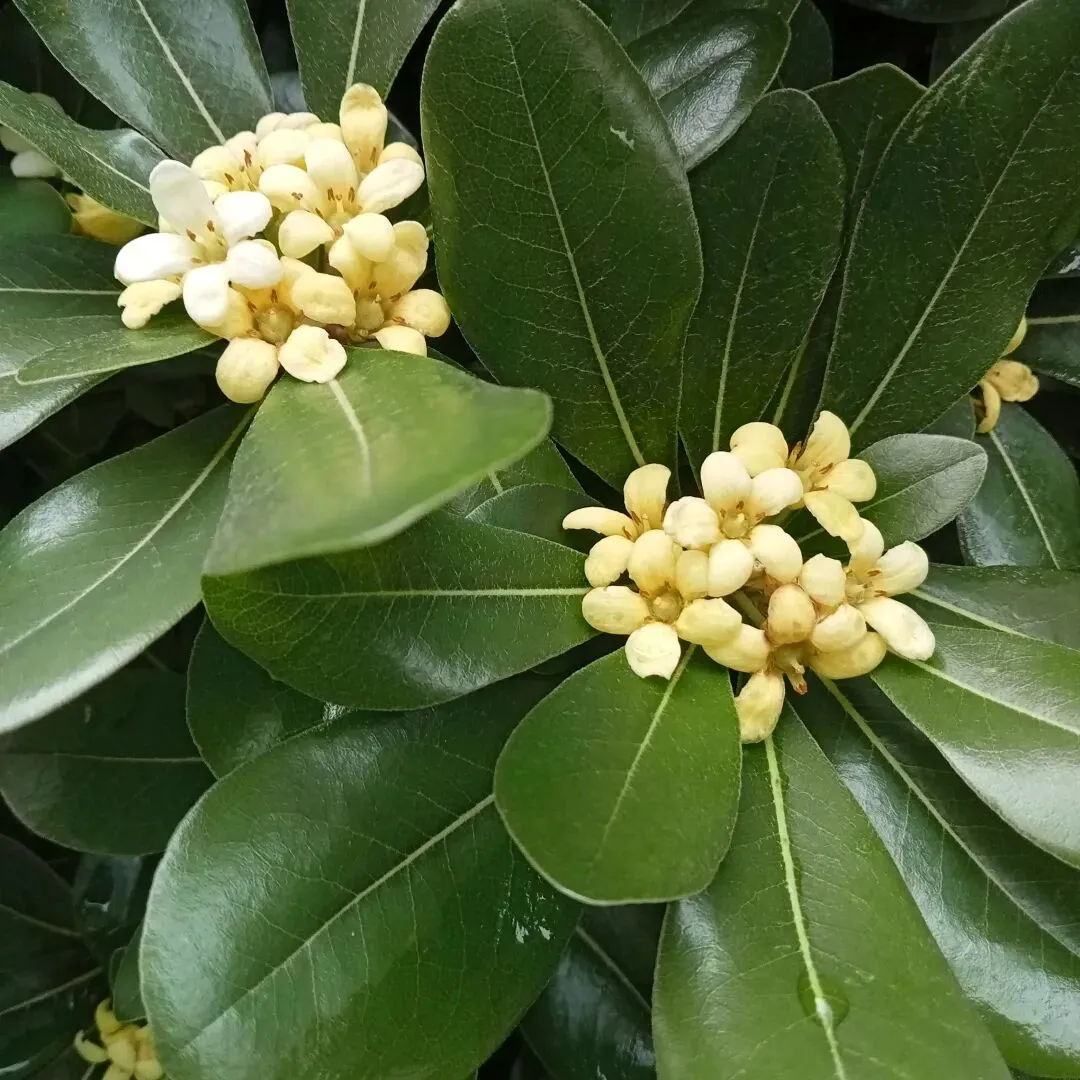 中年妈妈的心里话,大宝中考冲刺,同款爸妈都在硬扛吗? 第1张