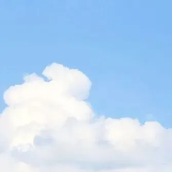 上海1-5年级|下学期期中:语数英真题模拟卷(含答案+解析) 第1张