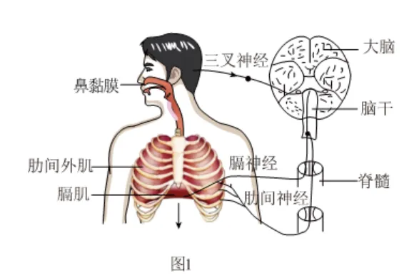 2026初中生物学模拟测试七 第6张