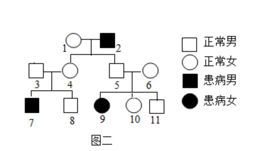 2026初中生物学模拟测试七 第9张
